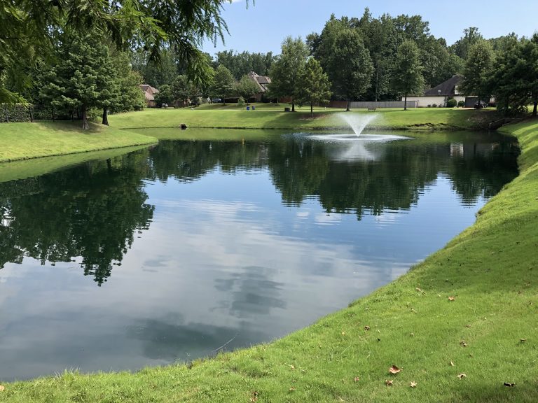 The Best Way To Get Rid Of Pond Algae Aquatic Control