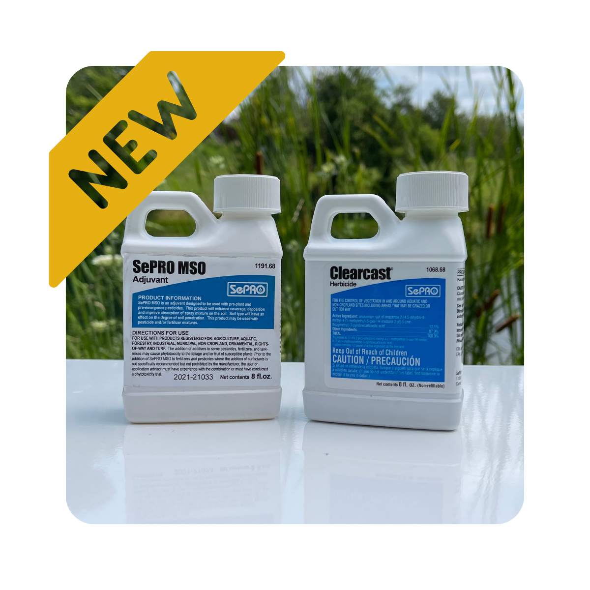 The Ultimate Cattail Solution-Free Shipping - Aquatic Control