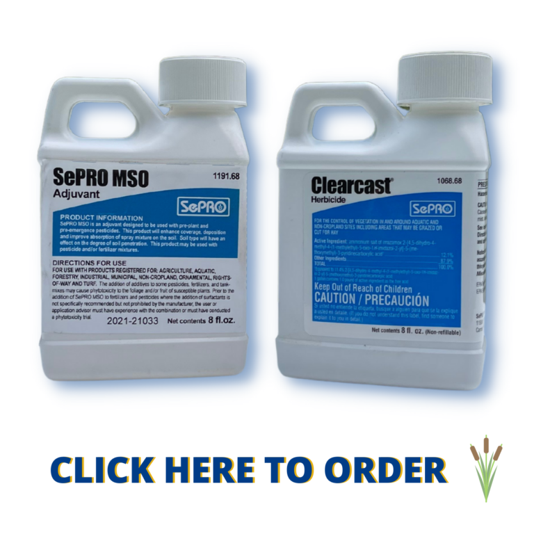 The Best Way To Get Rid Of Cattails Aquatic Control