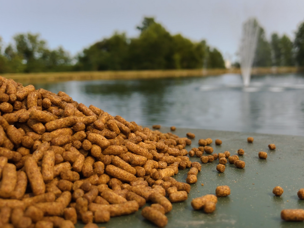 Fish Management - Aquatic Control