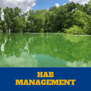 Harmful Algae Bloom Management