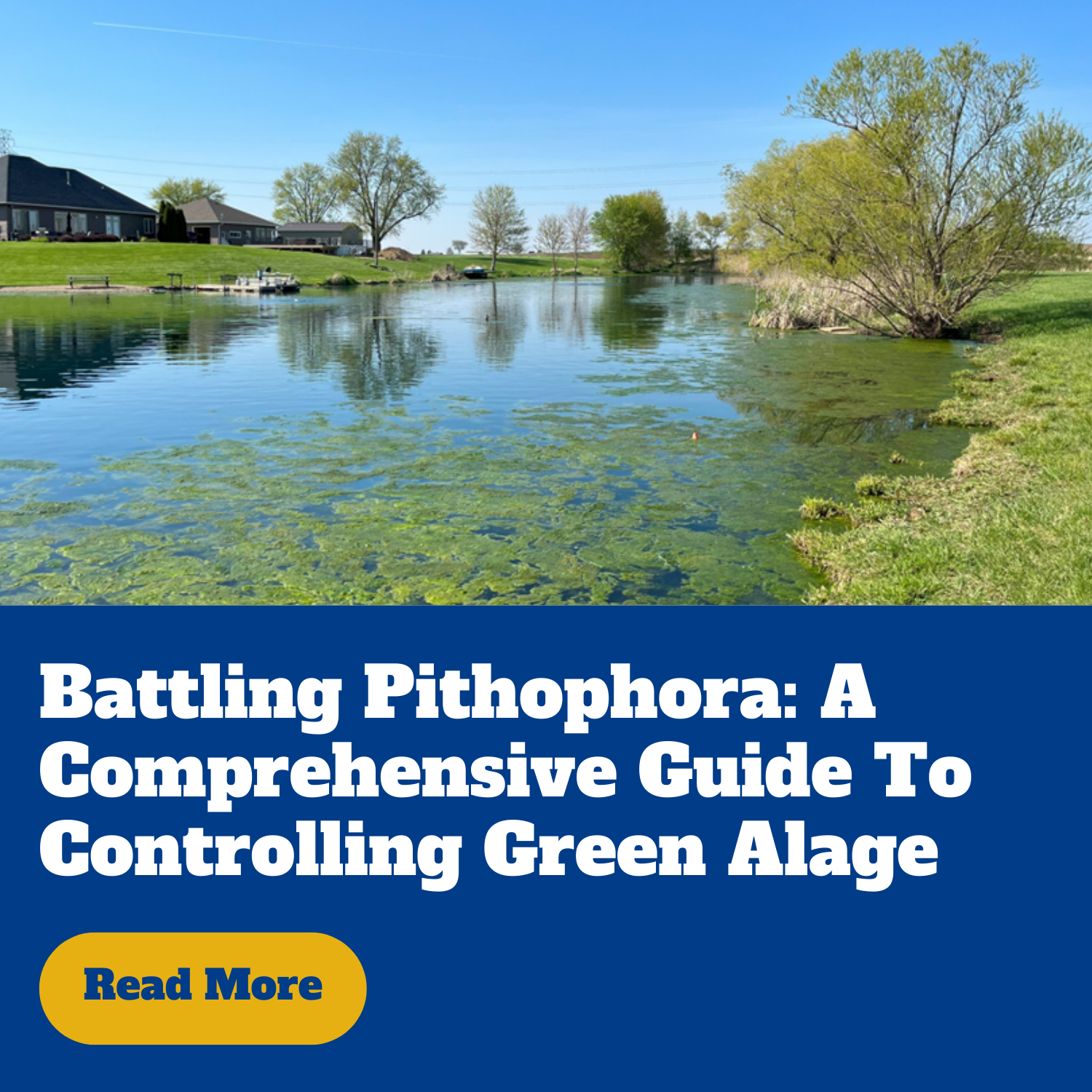 Battling pithophora: A comprehensive guide to controlling green algae