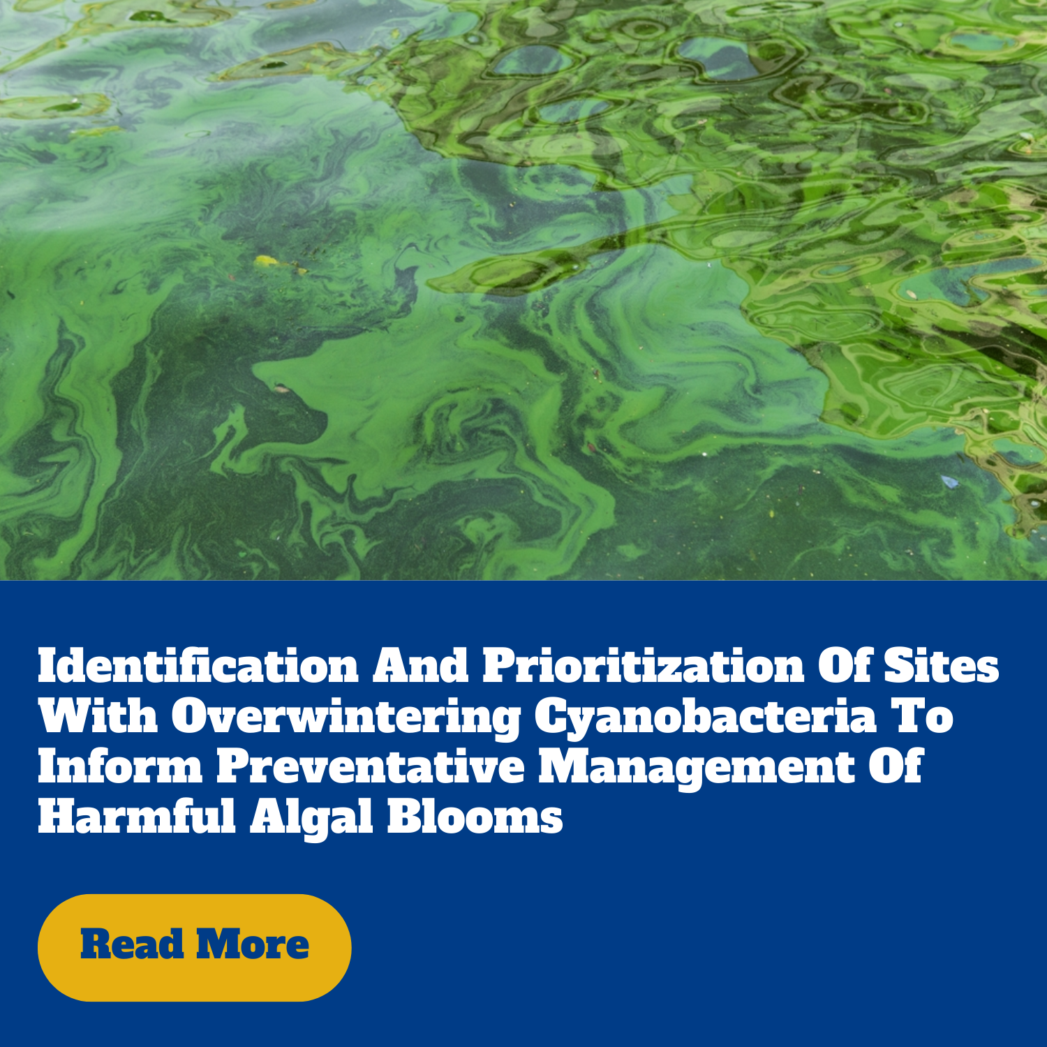 Identification and prioritization of sites with overwintering cyanobacteria to inform preventative management of harmful algal blooms