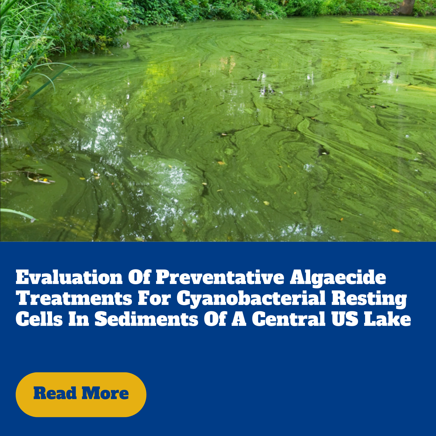 Evaluation of preventative algaecide treatments for cyanobacterial resting cells in sediments of a Central U.S. lake