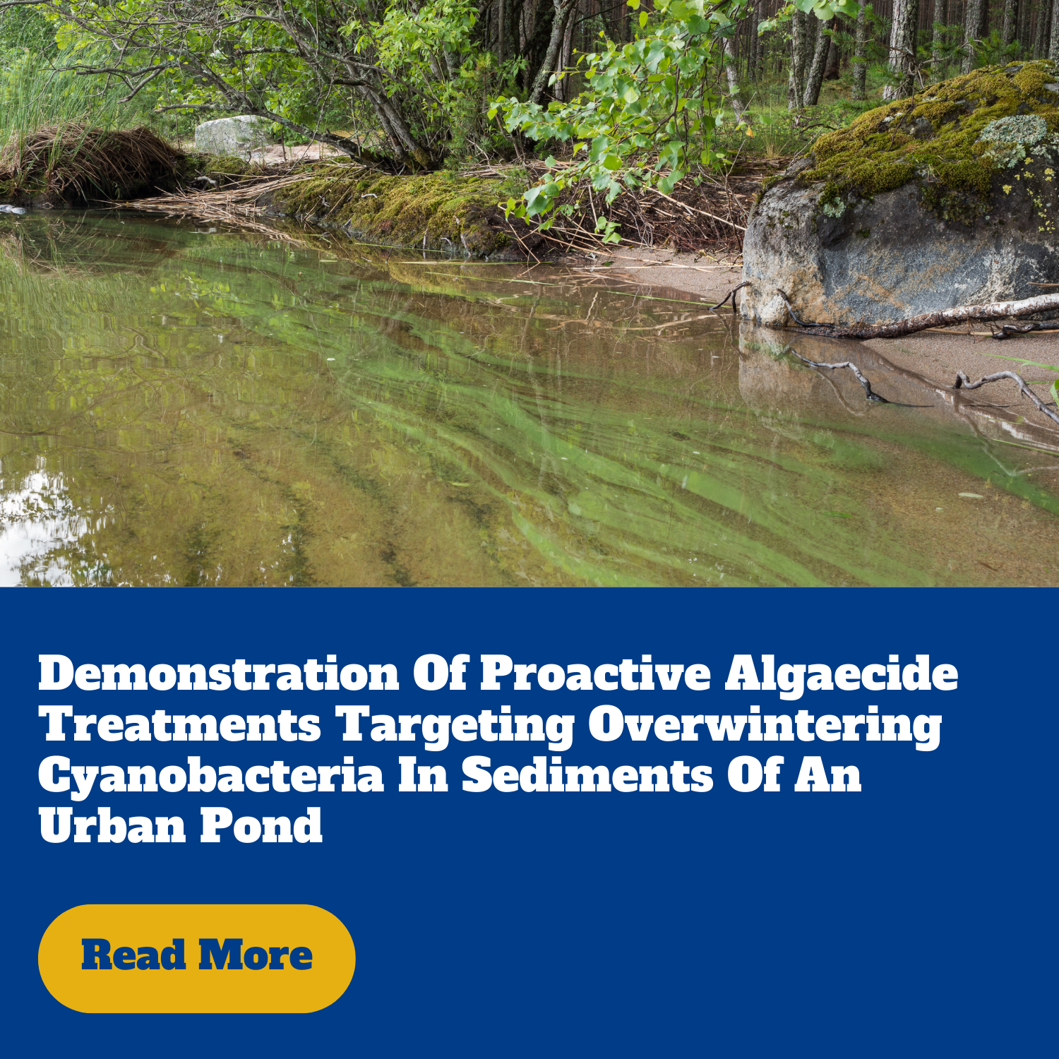 demonstration of proactive algaecide treatments targeting overwintering cyanobacteria in sediments of an urban pond