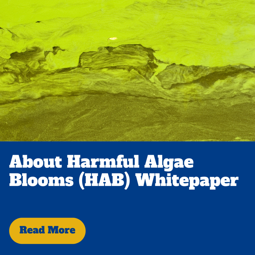 About harmful algae blooms (HAB) whitepaper