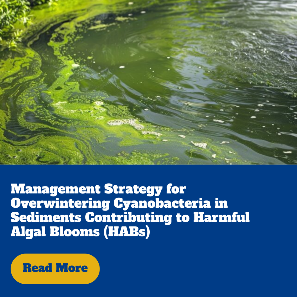 Management strategy for overwintering cyanobacteria in sediments contributing to harmful algal blooms (HAB's)