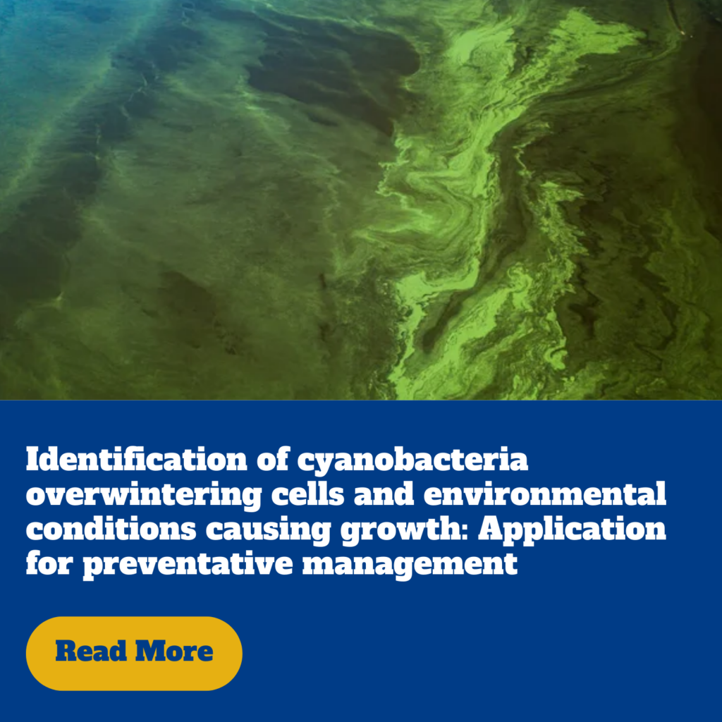 Identification of cyanobacteria overwintering cells and environmental conditions causing growth: Application for preventative management