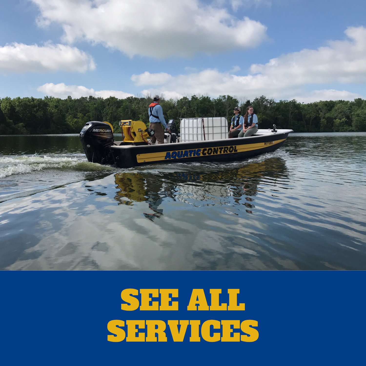 See All Services