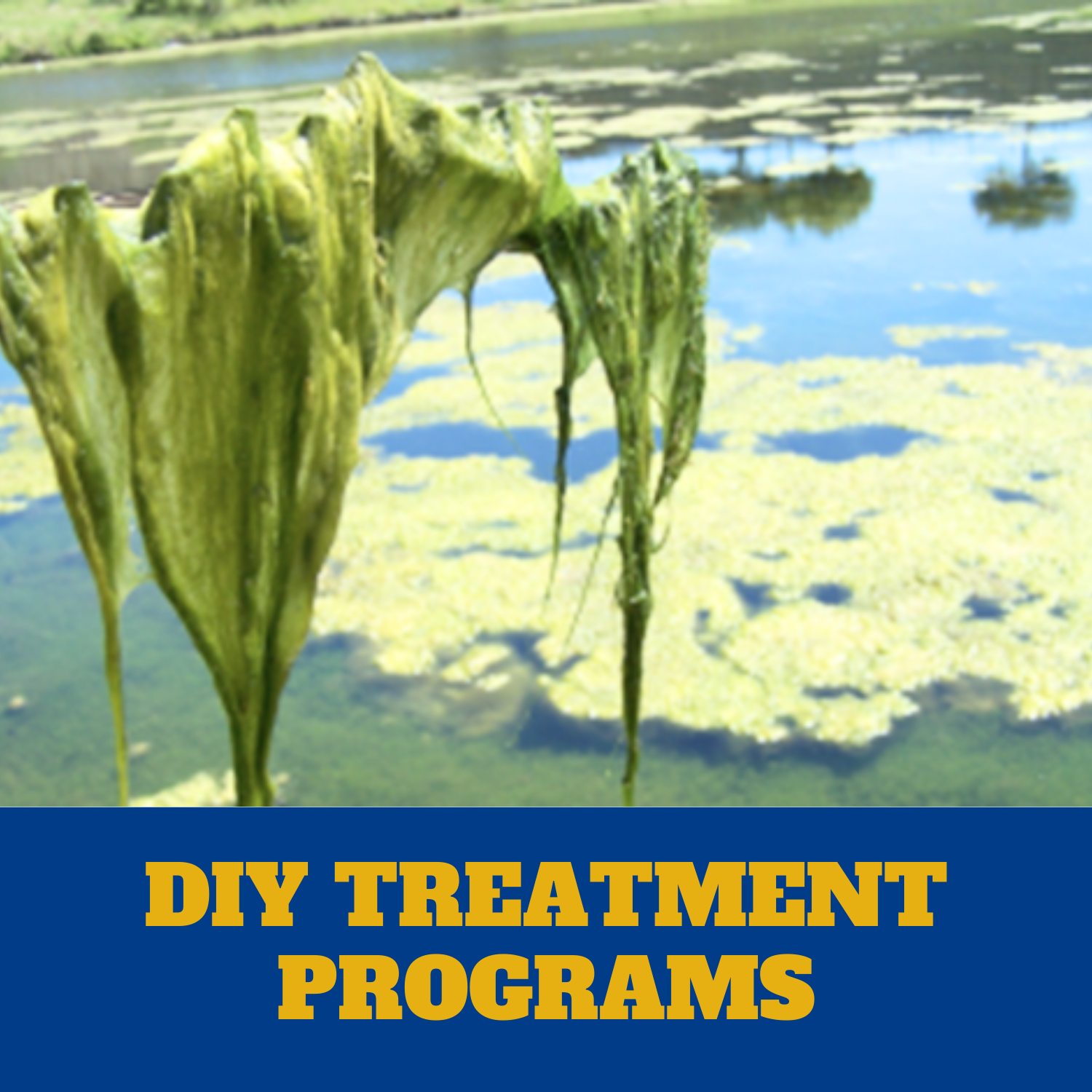 DIY Treatment Programs