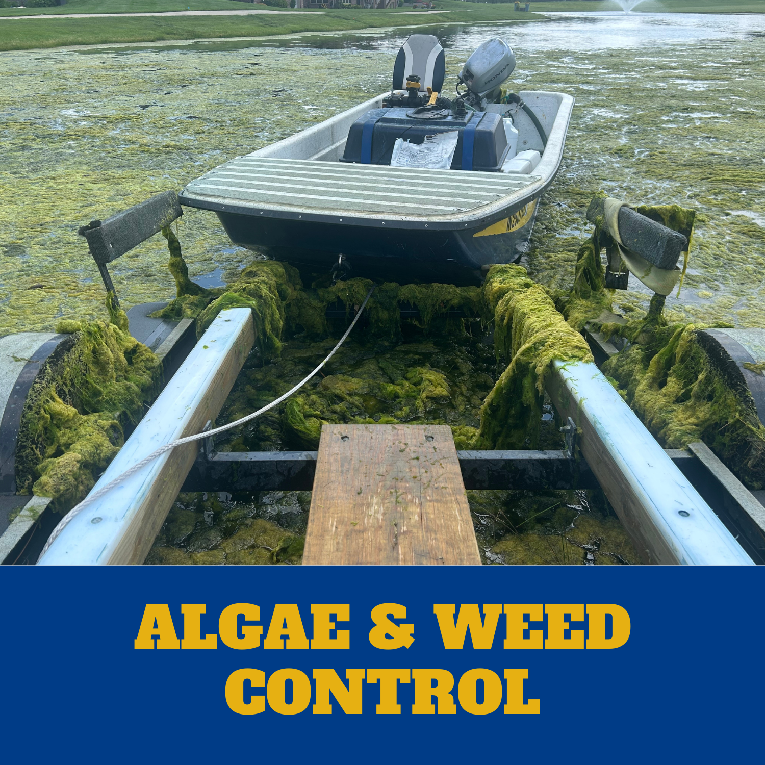 Algae and Weed Control